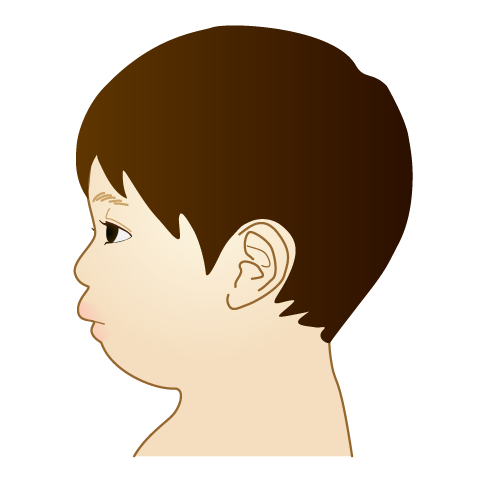 顎の骨が小さい子供の横顔